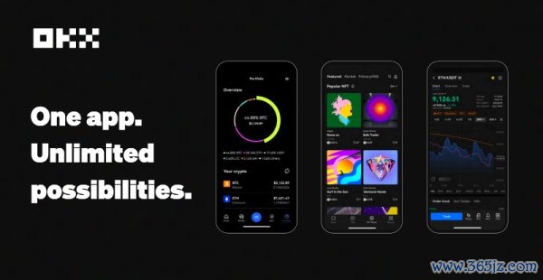 OK软件园 怎么下载(619)