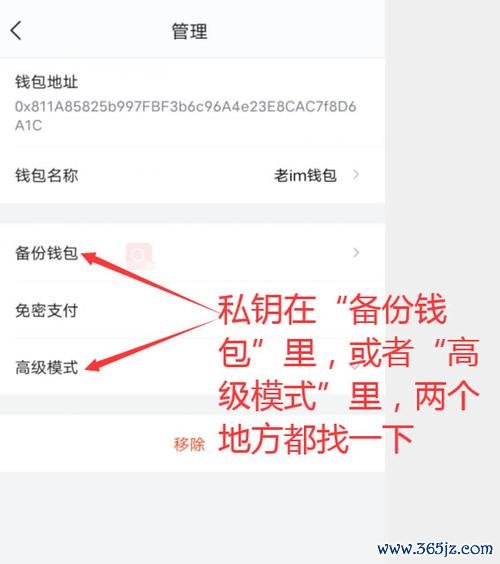 钱包官方下载_从官网获取imtoken钱包的最新功能与更新_钱包ui