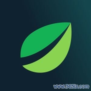 怎么在国外平台买数字货币(高效便利的比特币交易客户端)(476)